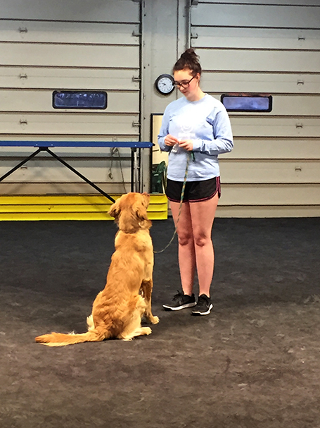 assistance dog trainer courses