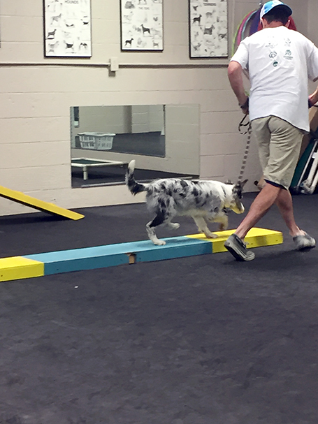 Agility for Fun