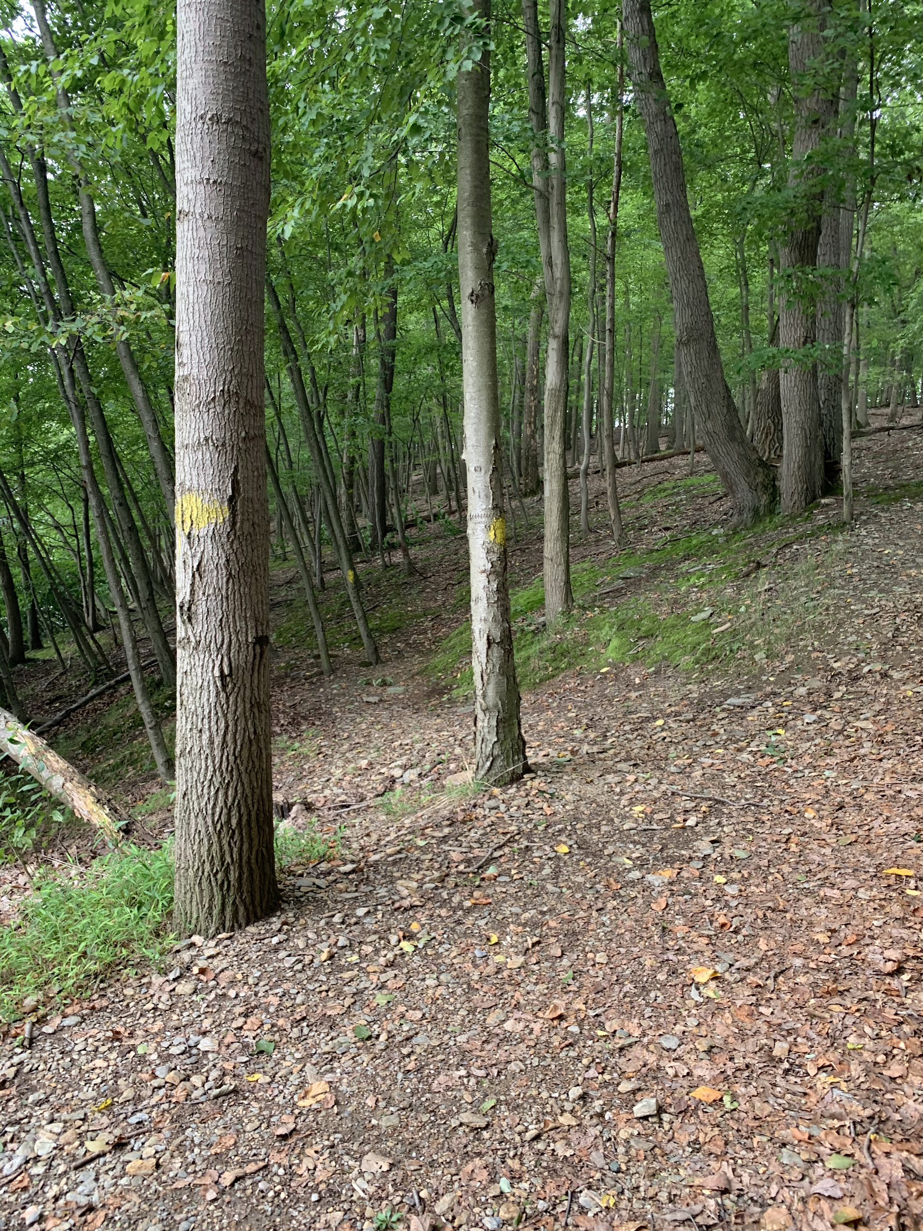 Lakeshore Hiking Trail, Navigation