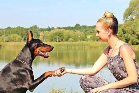 woman training dog