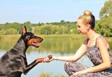 woman training dog